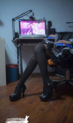 美女视频免费观看
